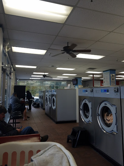 Dash Point Laundry