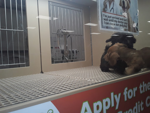 Petland, 5470 Dixie Hwy, Fairfield, OH 45014, USA, 