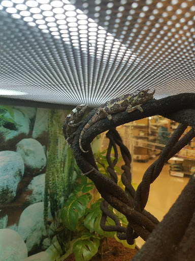 Pet Supply Store «Petco Animal Supplies», reviews and photos, 3835 Phoenix Ave, Fort Smith, AR 72903, USA