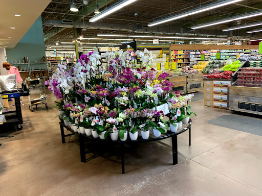 Grocery Store «Whole Foods Market», reviews and photos, 4944 Shelbyville Rd, Louisville, KY 40207, USA
