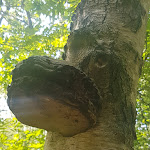 Photo n°2 de l'avis de Sören.e fait le 01/08/2019 à 18:59 sur le  Café & Restaurant Am Boxberg à Aukrug