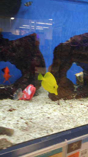 Pet Supply Store «Petco Animal Supplies», reviews and photos, 163 Highland Ave, Needham, MA 02494, USA