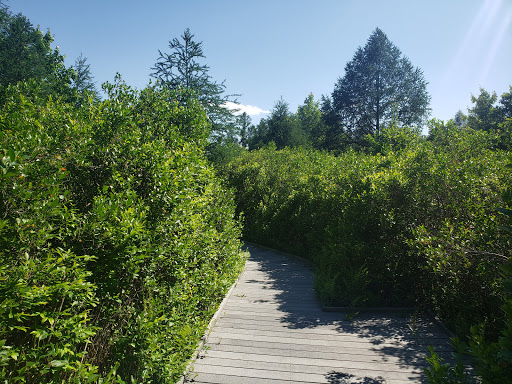 Nature Preserve «Tom S Cooperrider-Kent Bog State Nature Preserve», reviews and photos, 1028 Meloy Rd, Kent, OH 44240, USA