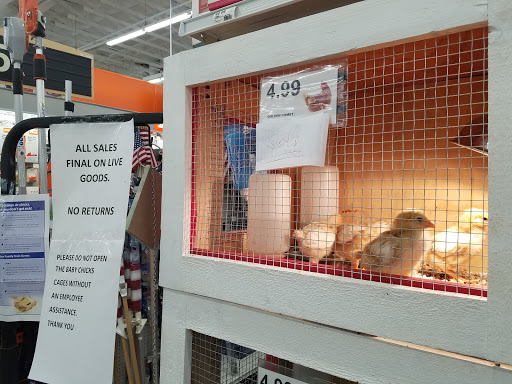 Hardware Store «Chandler Ace Hardware», reviews and photos, 4870 S Gilbert Rd, Chandler, AZ 85249, USA