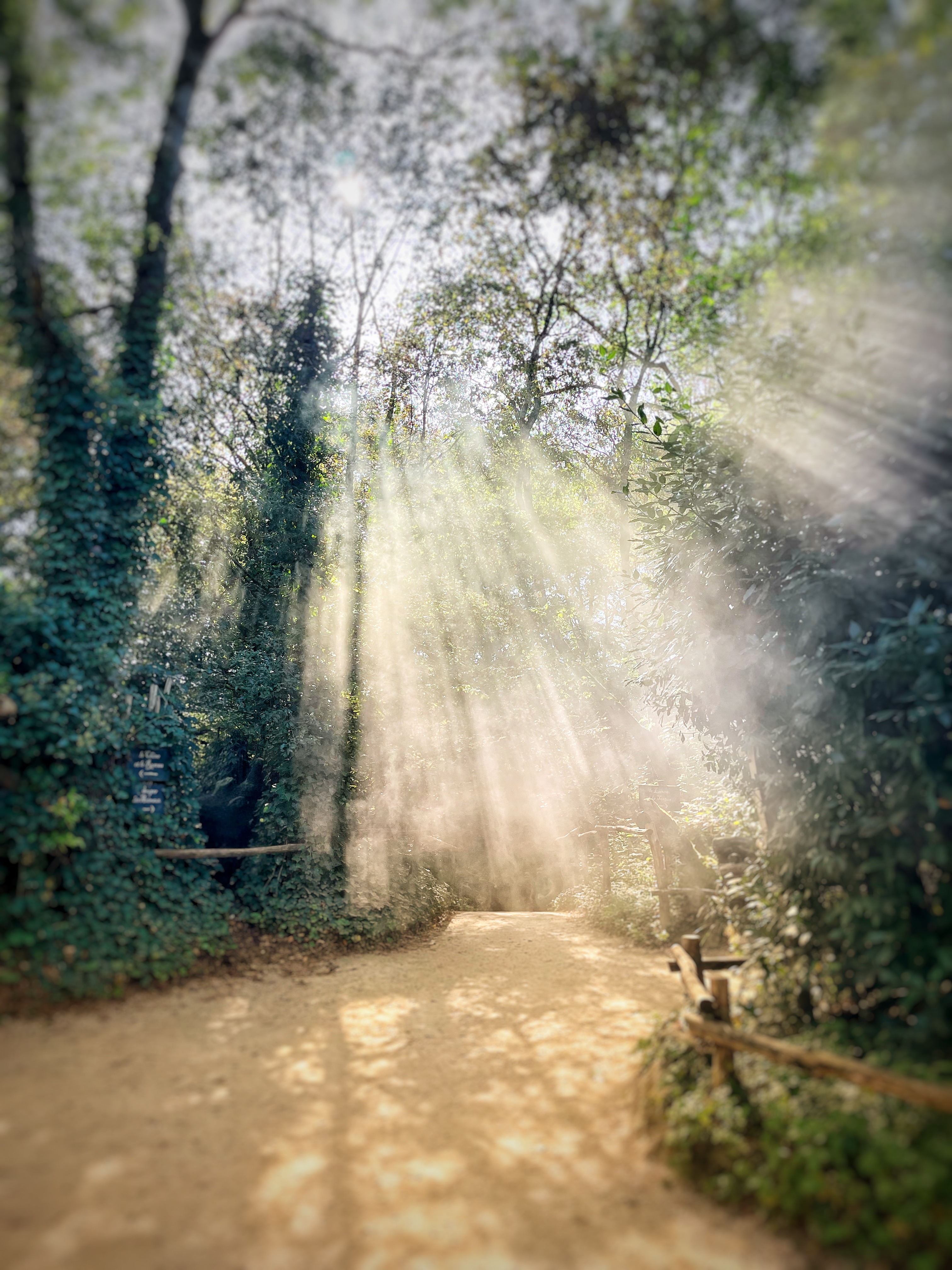 Photo n° 1 de l'avis de Matthieu.a fait le 11/10/2023 à 19:05