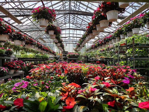 Garden Center «Westminster Nursery & Florist», reviews and photos, 30 Westminster Rd, West Hempstead, NY 11552, USA