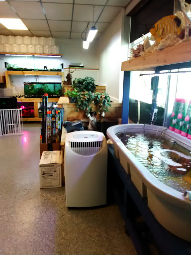 Tropical Fish Store «Aqua Visions», reviews and photos, 22176 N Hillview Dr, Lake Barrington, IL 60010, USA