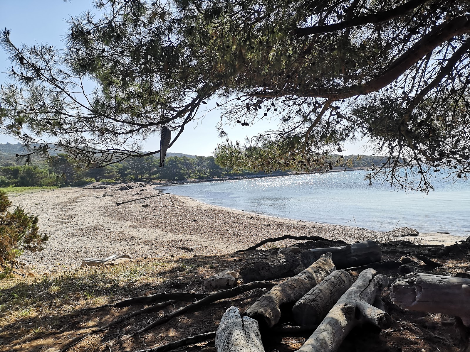 Zdjęcie Przine beach dziki obszar