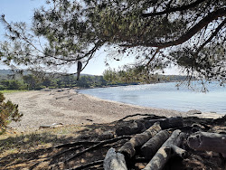 Przine beach'in fotoğrafı doğal alan içinde bulunmaktadır
