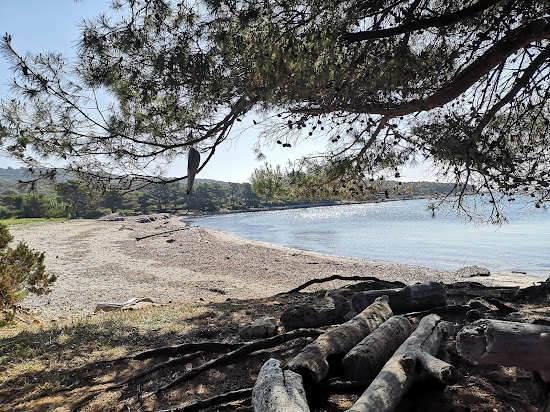 Przine beach