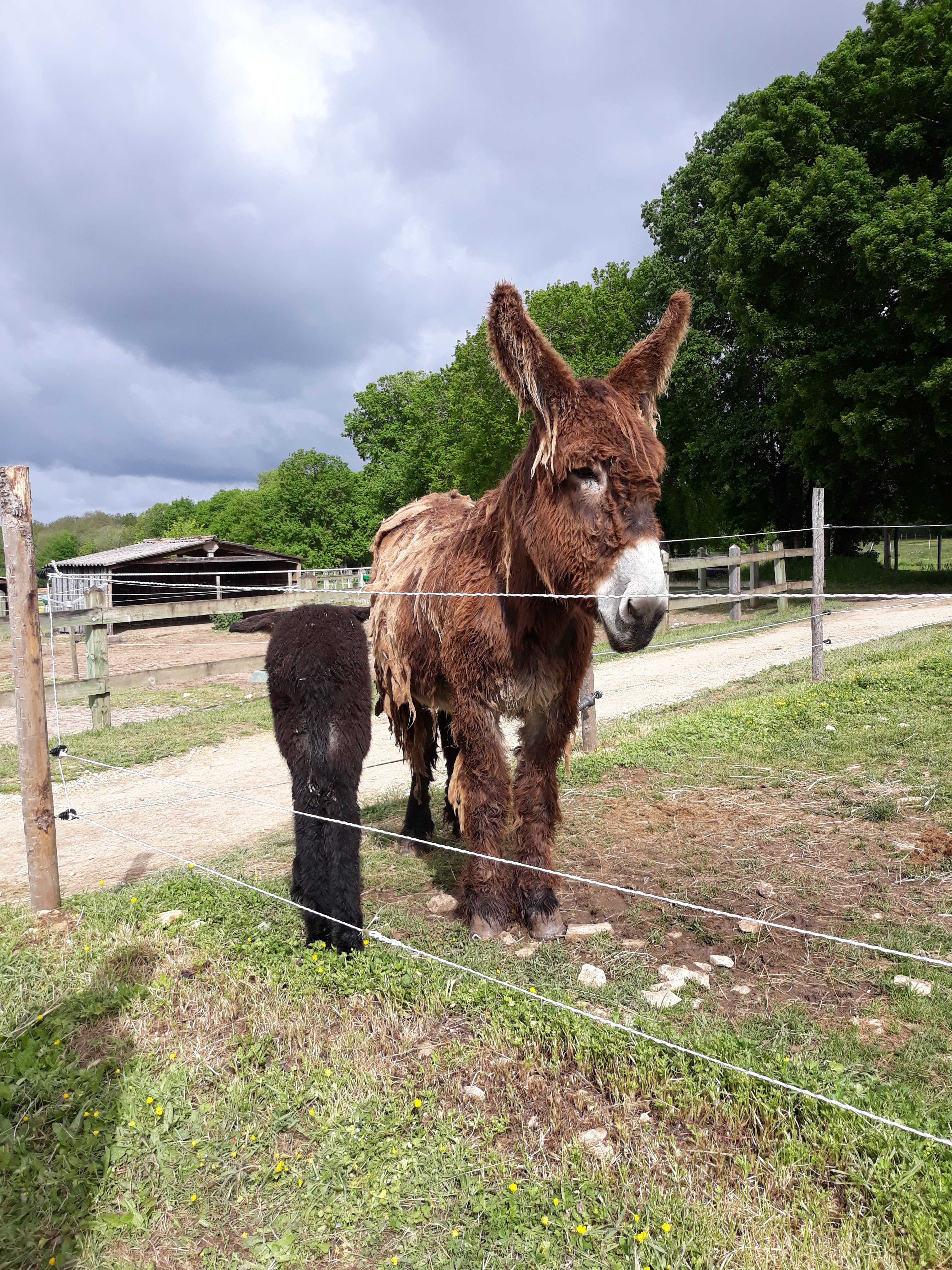 Photo n° 4 de l'avis de Nathalie.i fait le 28/04/2019 à 10:40
