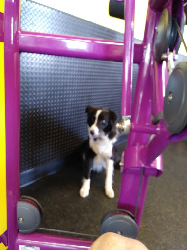 Gym «Planet Fitness», reviews and photos, 145 Marginal Way, Portland, ME 04101, USA