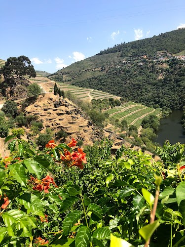 Comentários e avaliações sobre o Douro Exclusive - Douro Valley Tours