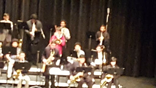 Performing Arts Theater «HCISD Performing Arts Center», reviews and photos, 3217 Wilson Rd, Harlingen, TX 78552, USA