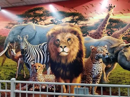 Video Arcade «Safari Playground», reviews and photos, 700 N Pontiac Trail, Walled Lake, MI 48390, USA