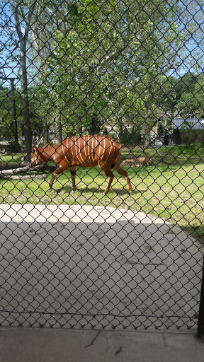 Foundation «The Henry Doorly Zoo», reviews and photos, 3701 S 10th St, Omaha, NE 68107, USA