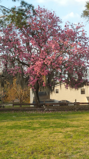 Golf Club «Casselberry Golf Club», reviews and photos, 300 S Triplet Lake Dr, Casselberry, FL 32707, USA