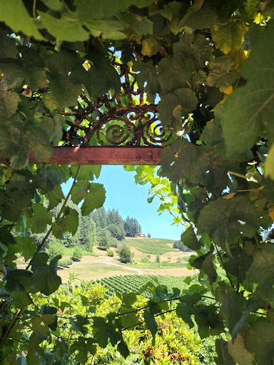 Winery «Elk Cove Vineyards», reviews and photos, 27751 NW Olson Rd, Gaston, OR 97119, USA