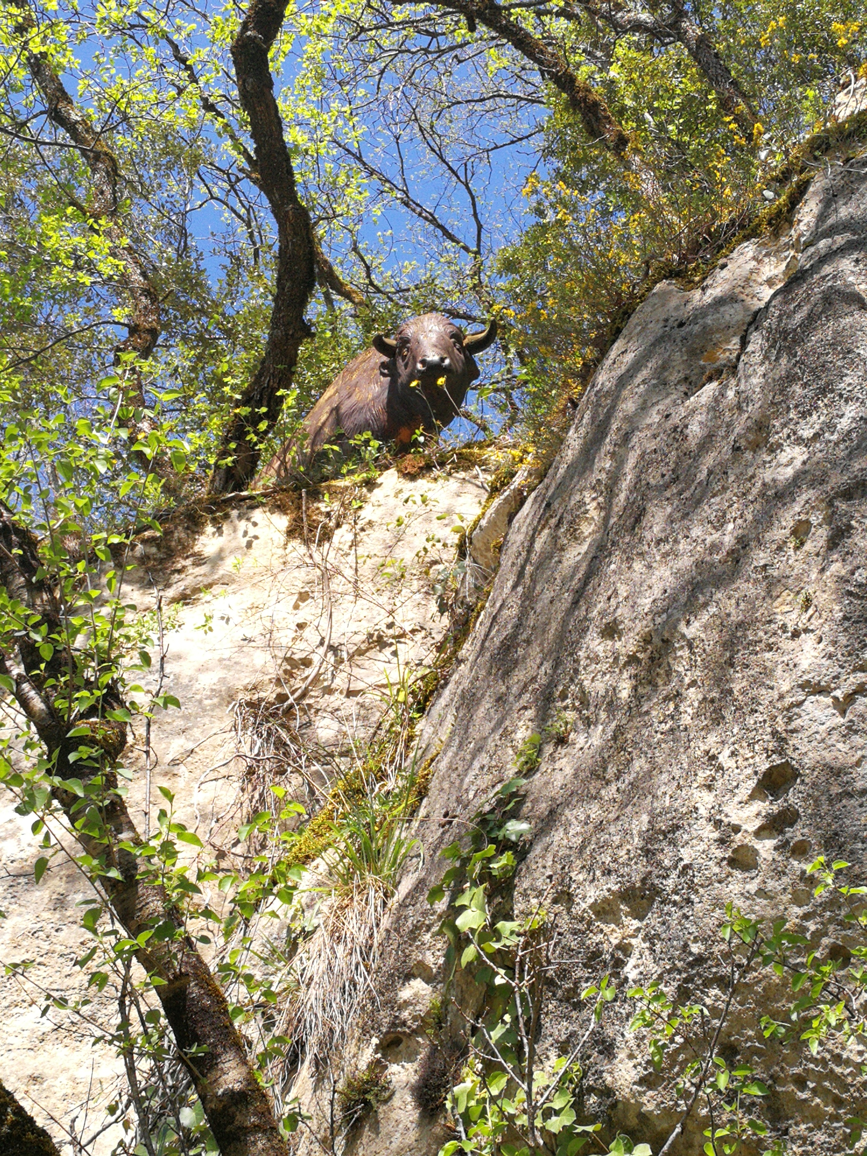 Photo n° 29 de l'avis de Sostaire.e fait le 23/04/2018 à 19:06