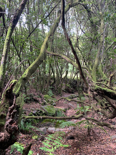 Zona de senderismo – Parque Cultural La Zarza – Llano Negro