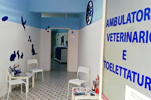 Gf Vet - Veterinario Napoli image