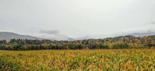 Tourist Attraction «Quarry Hill Farm», reviews and photos, 4405 VT-15, Jeffersonville, VT 05464, USA