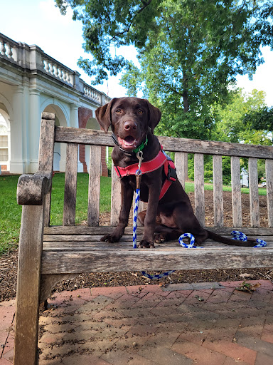 Dog Trainer «Off Leash K9 Training, Charlottesville», reviews and photos, 8782 Seminole Trail, Ruckersville, VA 22968, USA