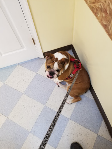 Pet Supply Store «Pet World», reviews and photos, 6527 Centralia Rd, Chesterfield, VA 23832, USA