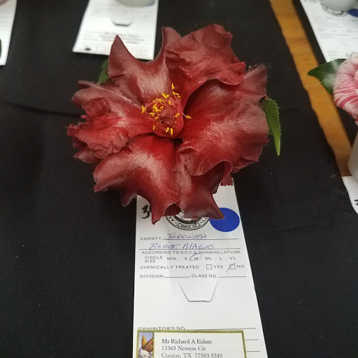 Museum «LSU Rural Life Museum», reviews and photos, 4560 Essen Ln, Baton Rouge, LA 70808, USA