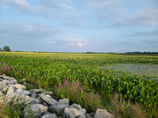 Metzger Marsh Wildlife Area