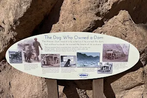 The Dog Who Owned a Dam image