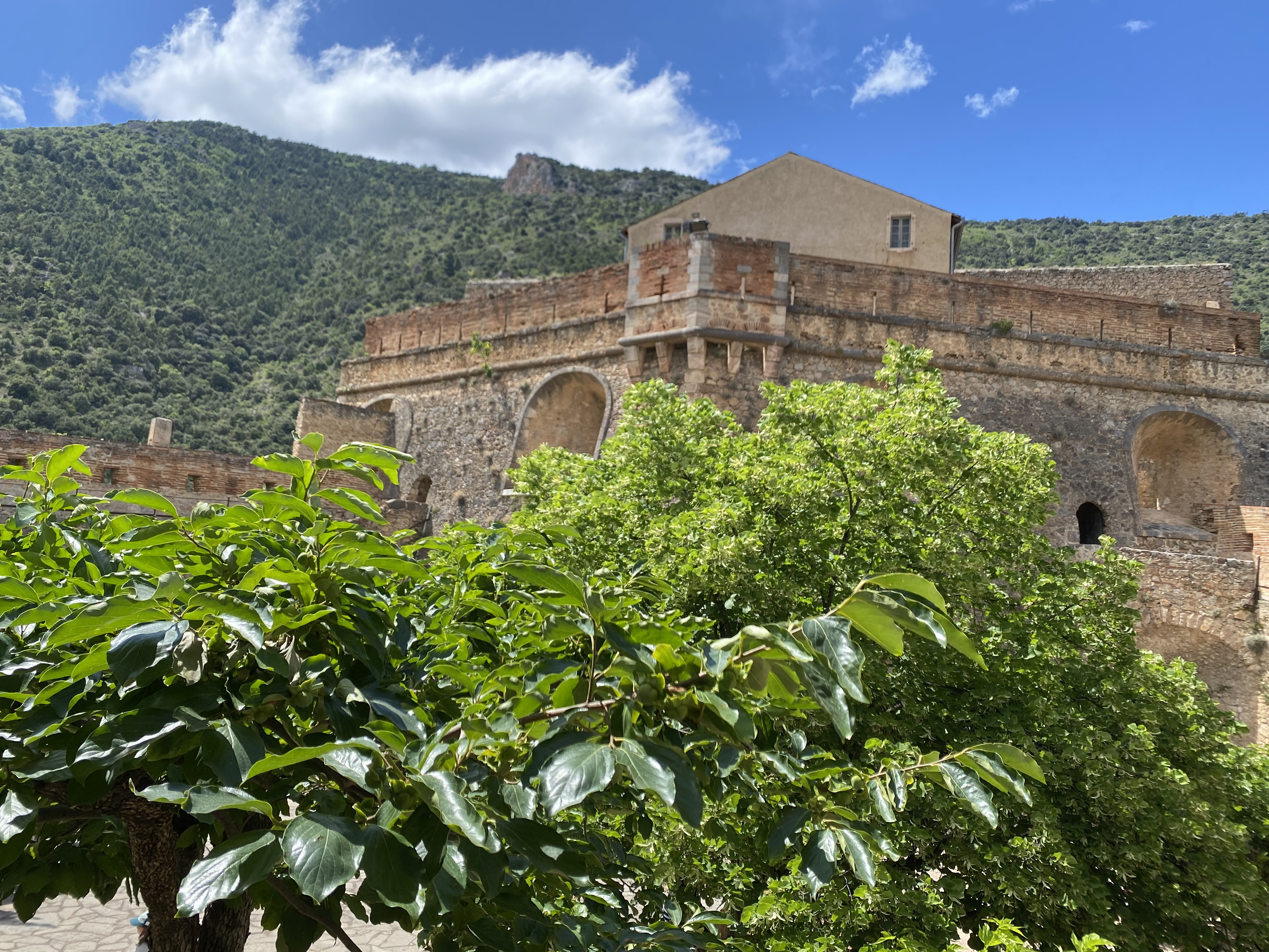 Photo n° 6 de l'avis de ALAQ. fait le 01/07/2021 à 13:43