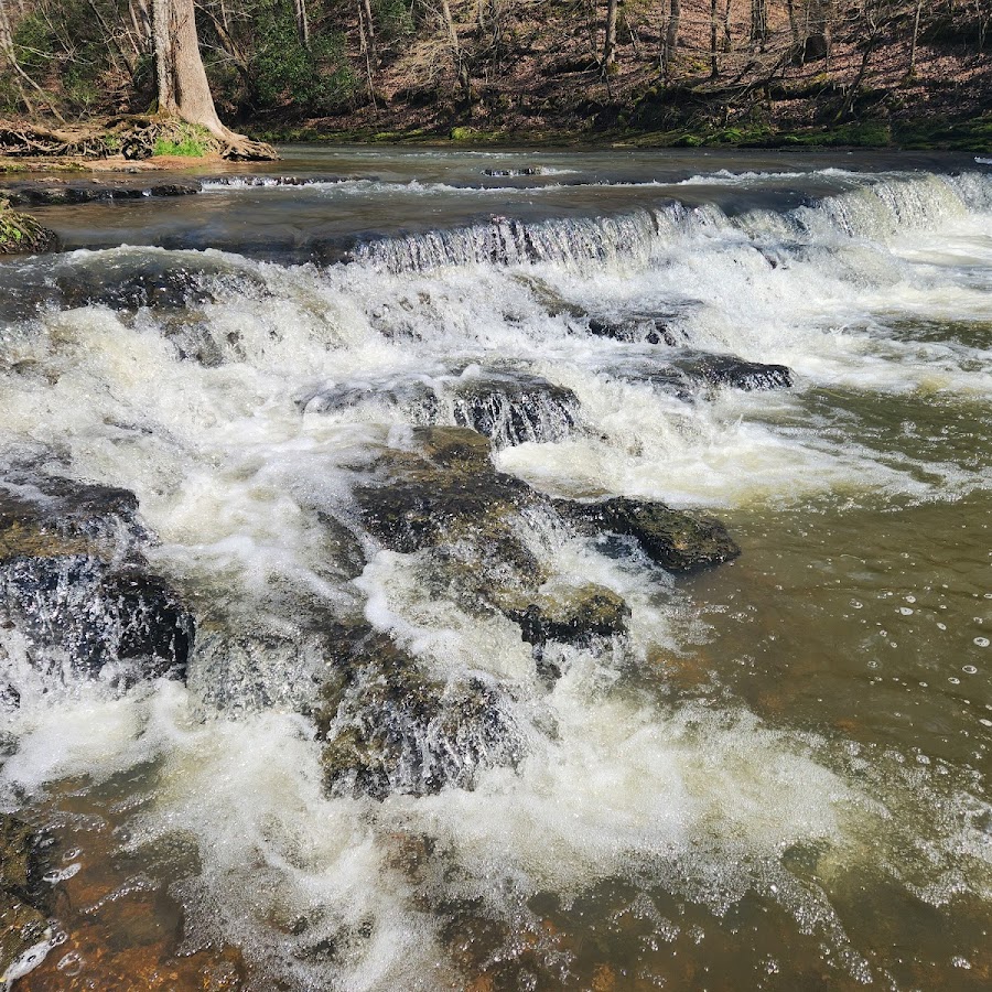 David Crockett State Park