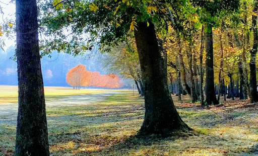 Gated Community «Fairfield Plantation», reviews and photos, 1602 Lakeview Pkwy, Villa Rica, GA 30180, USA