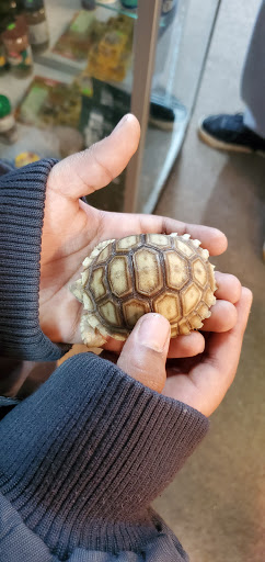 Pet Store «Petfection Exotic Pet Specialist», reviews and photos, 2989 PA-611 Suite 102, Tannersville, PA 18372, USA