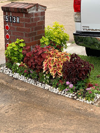 Visionary Landscaping Services - Photo 6 - Car repair in , Sugar Land