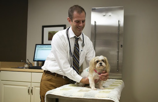 Travelers Rest Animal Hospital image