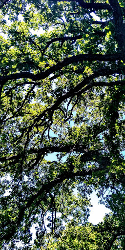 Park «Webber Park», reviews and photos, 4300 Webber Pkwy, Minneapolis, MN 55412, USA