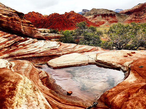 National Reserve «Red Rock Canyon National Conservation Area», reviews and photos, 1000 Scenic Loop Dr, Las Vegas, NV 89161, USA