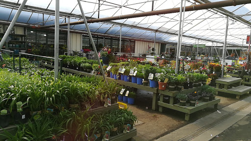 Garden Center «Pike Nurseries», reviews and photos, 615 W Crossville Rd, Roswell, GA 30075, USA