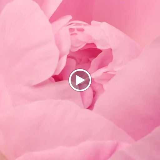 Florist «Jefferson House Floral Inc», reviews and photos, 4300 W 100 N, Kokomo, IN 46901, USA