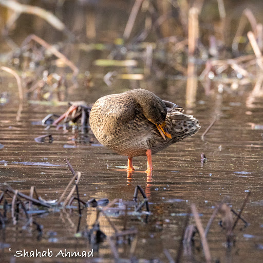 193 Central St, Hudson, NH 03051, USA
