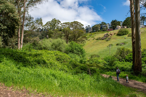 Park «Glen Canyon Park», reviews and photos, Elk St and Chenery St, San Francisco, CA 94127, USA