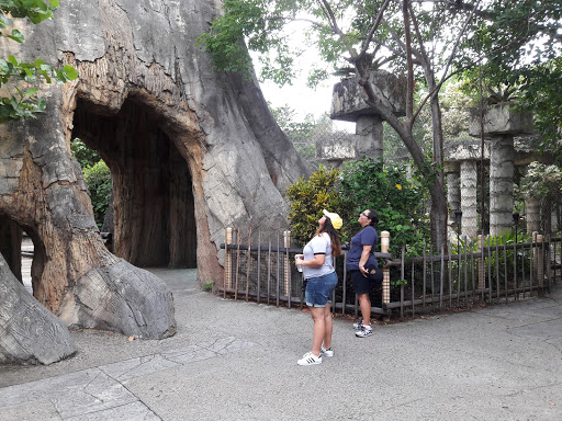 Zoo «Palm Beach Zoo & Conservation Society», reviews and photos, 1301 Summit Blvd, West Palm Beach, FL 33405, USA