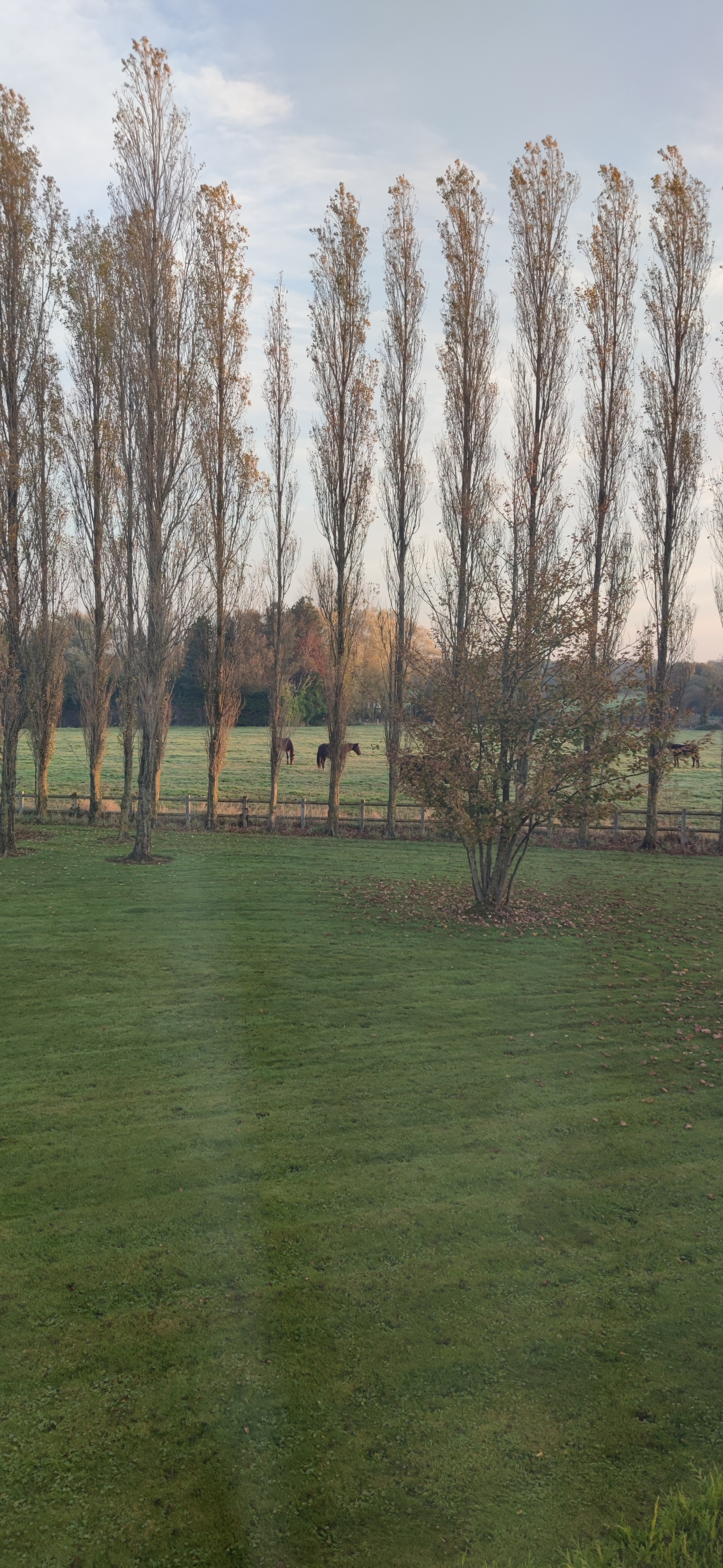 Photo n° 2 de l'avis de Pascal.o fait le 16/11/2021 à 13:07