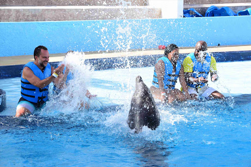 Tour Agency «Miami Swim With Dolphin Tours», reviews and photos, 247 SW 8th St, Miami, FL 33130, USA