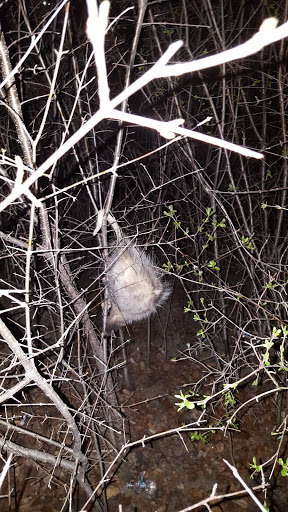 Park «Skokie Northshore Sculpture Park», reviews and photos, McCormick Blvd, Skokie, IL 60076, USA