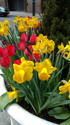 Event Venue «Cipriani 42nd Street», reviews and photos, 110 E 42nd St, New York, NY 10017, USA