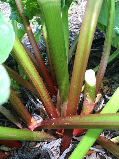 Produce Market «Highland Orchards Farm Market», reviews and photos, 1431 Foulk Rd, Wilmington, DE 19803, USA