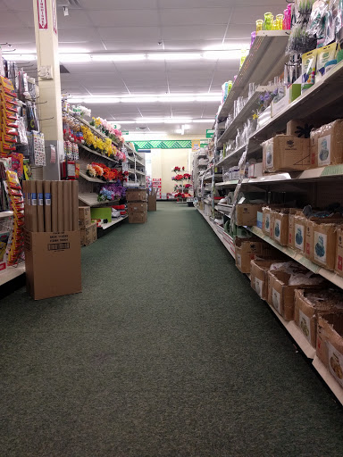 Dollar Store «Dollar Tree», reviews and photos, 2401 Fairview Ave N, Roseville, MN 55113, USA